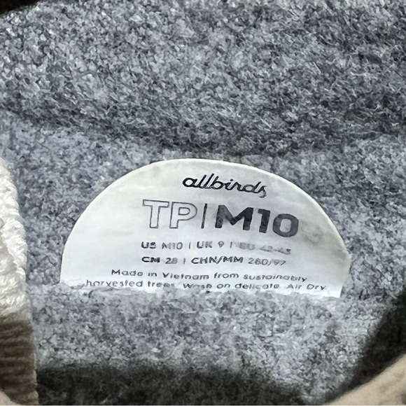 Allbirds Tree Pipers